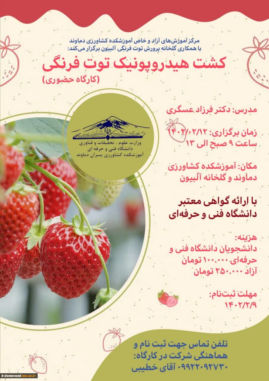 کارگاه کشت هیدروپنیک توت فرنگی 2