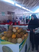 بازدید سرپرست محترم آموزشکده کشاورزی دماوند سرکار خانم دکتر صادقی زاده از نمایشگاه آیفارم شهر آفتاب 2
