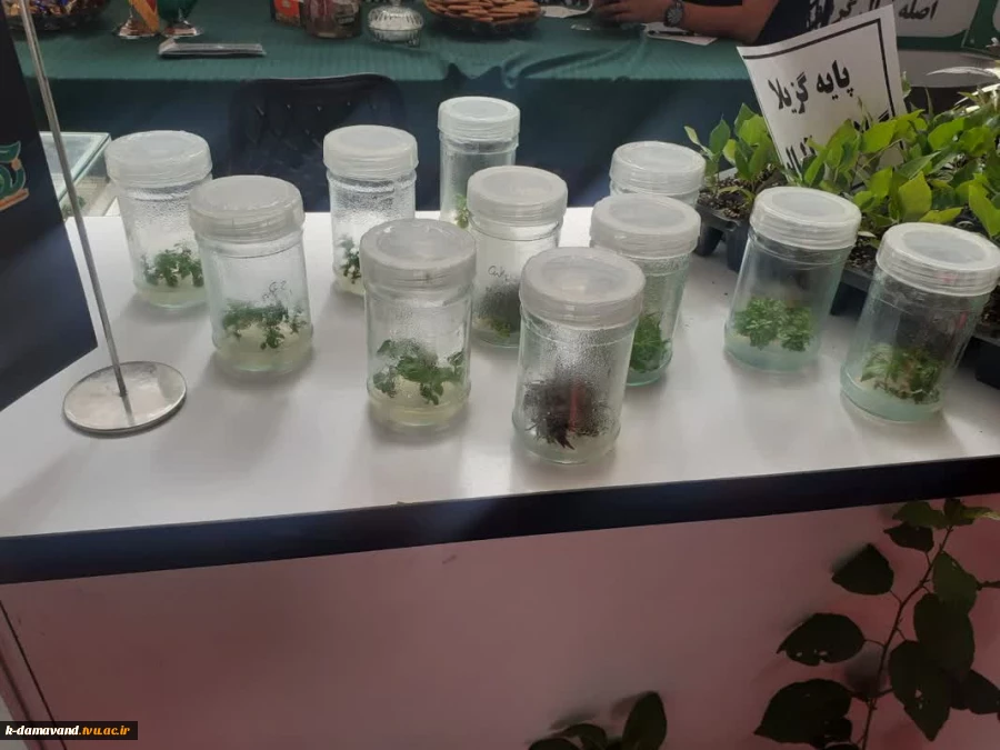 بازدید سرپرست محترم آموزشکده کشاورزی دماوند سرکار خانم دکتر صادقی زاده از نمایشگاه آیفارم شهر آفتاب 6