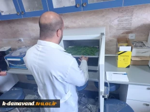 آغاز طرح پژوهشی با محوریت فرآوری و بهینه‌سازی عصاره شوید در آموزشکده دماوند 2