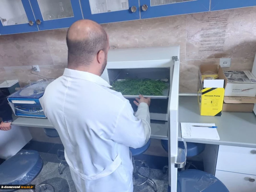 آغاز طرح پژوهشی با محوریت فرآوری و بهینه‌سازی عصاره شوید در آموزشکده دماوند 2