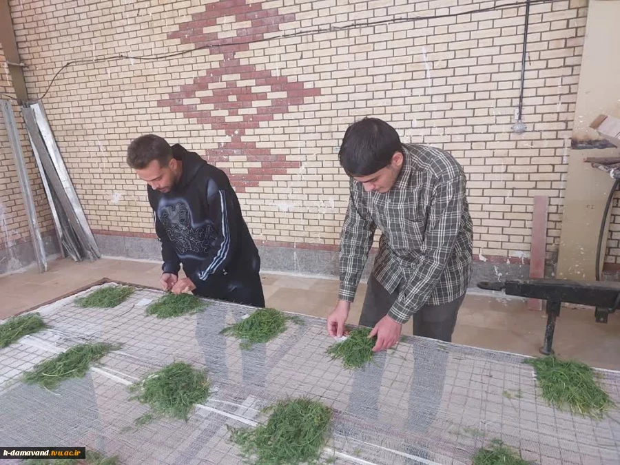 آغاز طرح پژوهشی با محوریت فرآوری و بهینه‌سازی عصاره شوید در آموزشکده دماوند 4