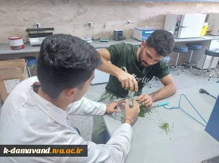 آغاز طرح پژوهشی با محوریت فرآوری و بهینه‌سازی عصاره شوید در آموزشکده دماوند 6