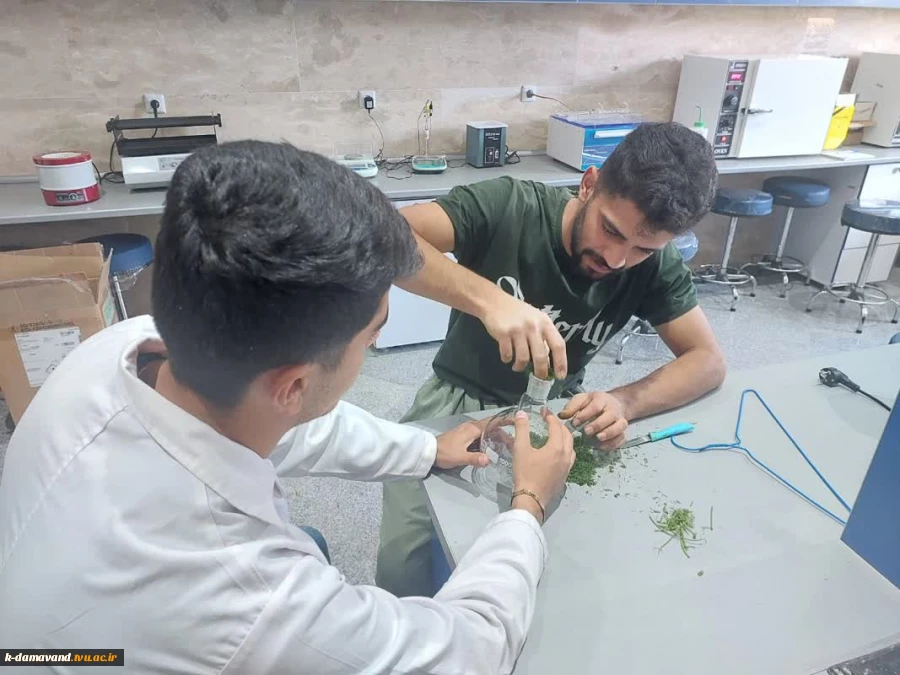 آغاز طرح پژوهشی با محوریت فرآوری و بهینه‌سازی عصاره شوید در آموزشکده دماوند 6