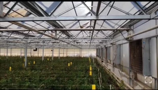 بازدید دانشجویان کارشناسی مهندسی تولیدات گیاهی-باغبانی از مجتمع گلخانه ای رز لند 3