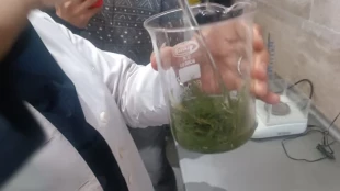 به مناسبت هفته پژوهش برگزاری کارگاه استخراج عصاره گیاه شوید توسط دستگاه فرا صوت اولتراسونیک 12