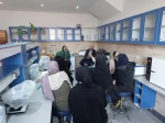 برگزاری اولین دوره آموزش های آزاد فرآوری گیاهان دارویی با همکاری بهزیستی شهرستان دماوند 3