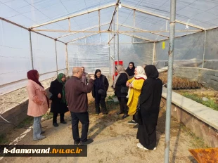 برگزاری اولین دوره آموزش های آزاد فرآوری گیاهان دارویی با همکاری بهزیستی شهرستان دماوند 5