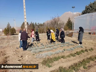 برگزاری اولین دوره آموزش های آزاد فرآوری گیاهان دارویی با همکاری بهزیستی شهرستان دماوند 7