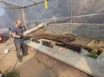 آغاز اجرای طرح پژوهشی اهلی‌سازی و بهبود کیفی زرشک وحشی دماوند با بهره‌گیری از نانوالیسیتورهای زیستی 4