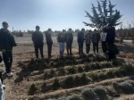 بازدید دانش آموزان مدارس و هنرستان های شهرستان از امکانات آموزشکده کشاورزی دماوند  7